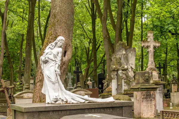 Varsovia Polonia Junio 2023 Cementerio Histórico Powazki Polonia Establecido 1790 —  Fotos de Stock