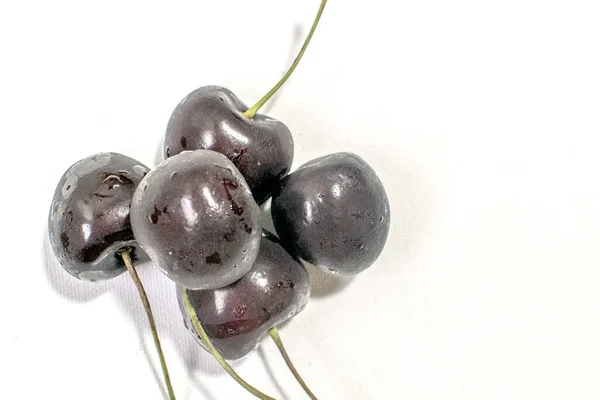 Dark Red Cherry Ein Echtes Foto Mit Einer Kräftigen Dunkelroten — Stockfoto