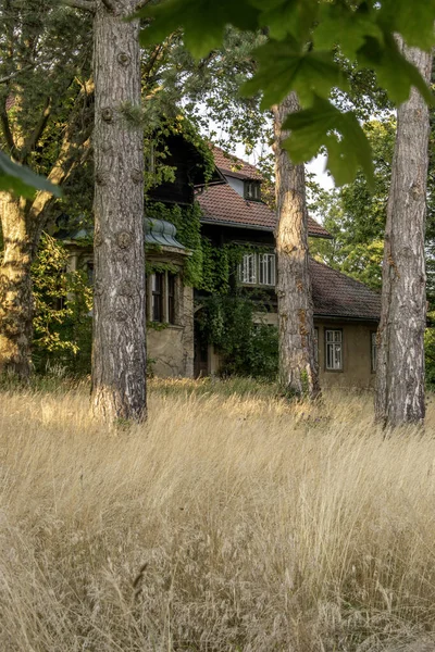 Βιέννη Αυστρία Αυγ 2023 Villa Magdalenhof Ανακαλύψτε Την Πλούσια Ιστορία — Φωτογραφία Αρχείου