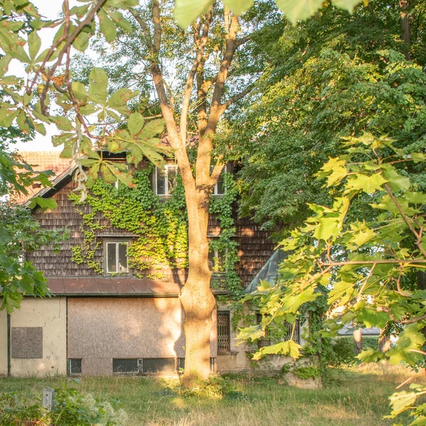 Wiedeń Austria Sie 2023 Villa Magdalenenhof Odkryj Bogatą Historię Villa — Zdjęcie stockowe