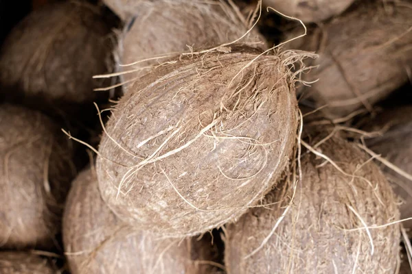 Stock Photo Close View Large Quantity Brown Coconuts Bin Selected — Stock Photo, Image
