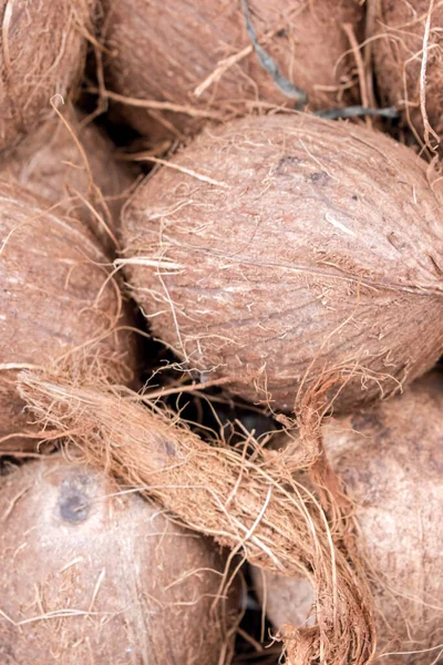 코코넛의 대량의 클로즈업 선택된 — 스톡 사진