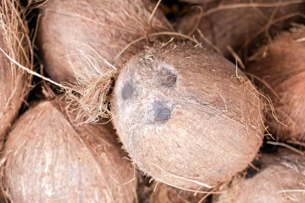 Fotografia Zapasowa Zbliżenia Wgl Ilo Brunatnych Kokosów Koszu Wybrane Ognisko — Zdjęcie stockowe