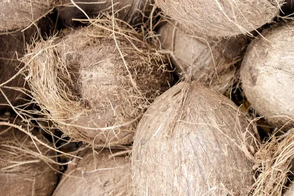 ビンに大量の茶色のココナッツのクローズアップビューの株式写真 選択されたフォーカス — ストック写真