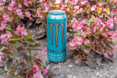 Viyana, Avusturya 12 Ağustos 2023. Canavar Enerji İçeceği: Büyüleyici arkaplan ve sanat fotoğrafçılığında Canavar Ultra Fiesta Mango Enerji İçeceğini keşfedin.