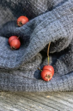 Hawthorn: Avrupa, Asya, Afrika ve Kuzey Amerika 'da gelişen çok yönlü bir bitki cinsi olan Hawthorn' un dünyasını araştırın. Zengin çeşitliliğini ve dikkate değer adaptasyonunu keşfedin. (seçici odaklanma)