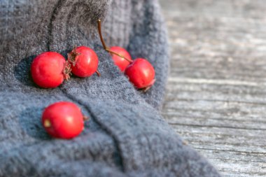 Hawthorn: Avrupa, Asya, Afrika ve Kuzey Amerika 'da gelişen çok yönlü bir bitki cinsi olan Hawthorn' un dünyasını araştırın. Zengin çeşitliliğini ve dikkate değer adaptasyonunu keşfedin. (seçici odaklanma)