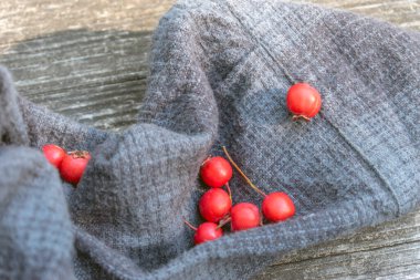 Hawthorn: Avrupa, Asya, Afrika ve Kuzey Amerika 'da gelişen çok yönlü bir bitki cinsi olan Hawthorn' un dünyasını araştırın. Zengin çeşitliliğini ve dikkate değer adaptasyonunu keşfedin. (seçici odaklanma)