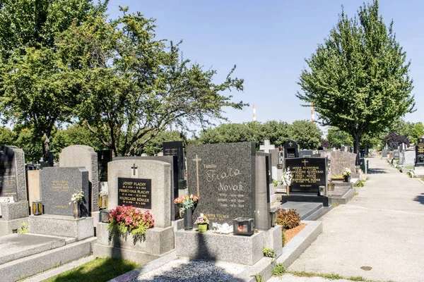 stock image Vienna, Austria. 12 Aug 2023: Simmering Cemetery in Vienna, an ancient burial site dating back to Roman times, features a captivating blend of history, architecture, and solemn beauty.