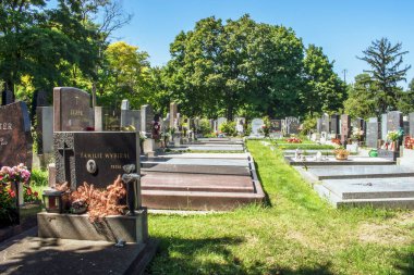 Viyana, Avusturya. 12 Ağustos 2023: Viyana 'daki kaynayan mezarlık, Roma zamanlarına dayanan antik bir mezarlık, tarihin, mimarinin ve kutsal güzelliğin büyüleyici bir karışımı..