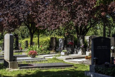 Viyana, Avusturya. 12 Ağustos 2023: Viyana 'daki kaynayan mezarlık, Roma zamanlarına dayanan antik bir mezarlık, tarihin, mimarinin ve kutsal güzelliğin büyüleyici bir karışımı..