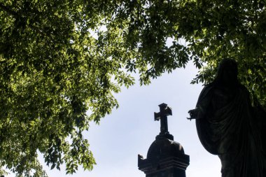 Viyana, Avusturya. 12 Ağustos 2023: Viyana 'daki kaynayan mezarlık, Roma zamanlarına dayanan antik bir mezarlık, tarihin, mimarinin ve kutsal güzelliğin büyüleyici bir karışımı..