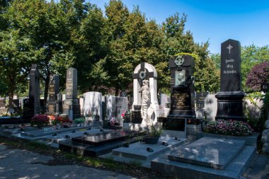 Viyana, Avusturya. 12 Ağustos 2023: Viyana 'daki kaynayan mezarlık, Roma zamanlarına dayanan antik bir mezarlık, tarihin, mimarinin ve kutsal güzelliğin büyüleyici bir karışımı..