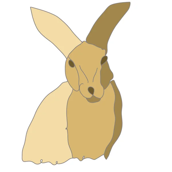 Bunny Rabbit Line Art Minimalistisk Illustration — Stockfoto