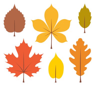 Sonbahar yaprakları beyaz arka planda izole. Düz biçimli vektör illüstrasyonu