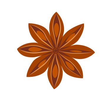 Beyaz arka planda yıldız anasonu izole edildi. Düz stil Aromatik baharat. Kokulu organik tohumlar, aşçılık baharatları.