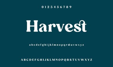 Lüks alfabe harfleri yazı tipi ve numarası. Tipografi zarif düğün klasik harfleri serif yazı tipleri dekoratif antika konsepti. Vektör illüstrasyonu. Minimalist Moda Harfi. Zarif alfabe harfleri serif yazı tipi ve sayı.