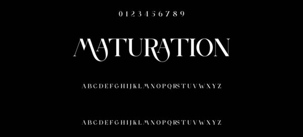 Роскошный алфавитный шрифт. Типография элегантный свадебный классический шрифт засечки шрифты декоративные винтажные ретро концепция. векторную иллюстрацию. Royal, элегантный алфавит шрифт и число. Премиум мода Дизайн типографика. векторная иллюстрация