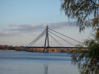 Yazın ormandaki nehrin güzel manzarası.