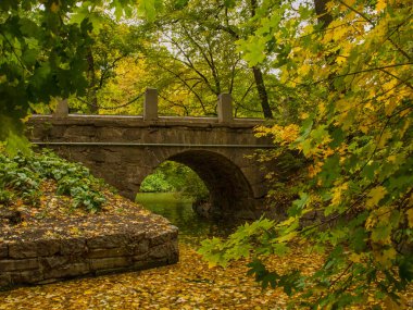 Sonbahar ormanındaki köprü