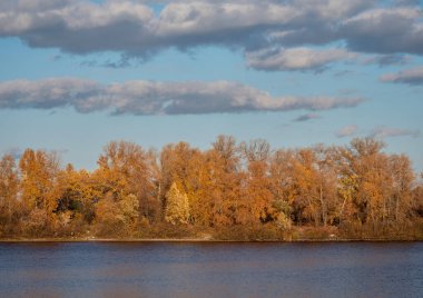Sonbaharda nehir kenarındaki ağaçlar