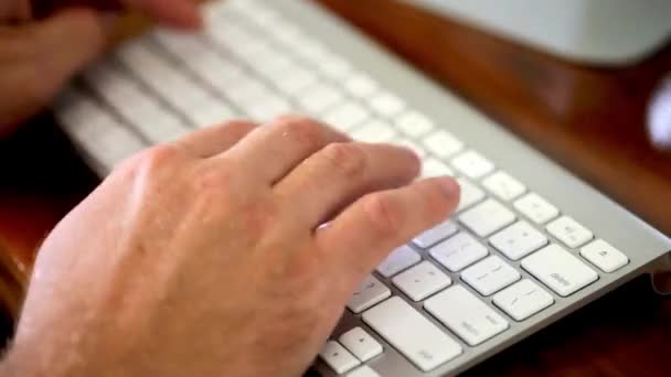 Unternehmer Unternehmer Tippt Auf Laptop Und Recherchiert Hand Finger Professionell — Stockvideo