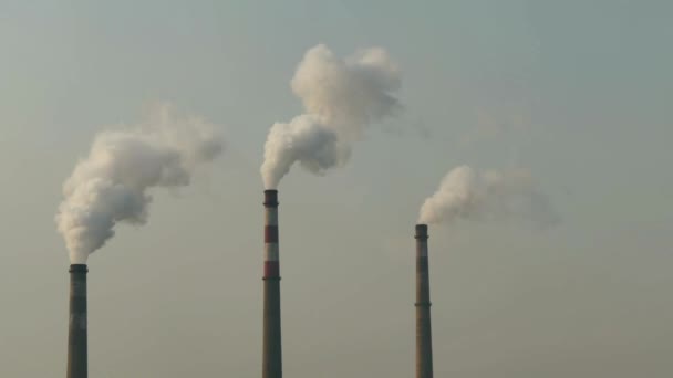 Высокие Дымовые Трубы Промышленных Отходов Загрязнение Воздуха Дымовых Газов Ископаемого — стоковое видео