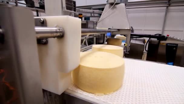 Τυρί Κουτιά Στην Αποθήκη Τυριών Εργοστάσιο Γαλακτοκομικών Προϊόντων — Αρχείο Βίντεο