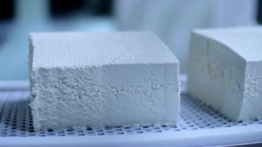 Peynir fabrikası. Sütün mayalanması ve akvaryumdaki ayrışma süreci. mozzarella yapımı İtalyan HD