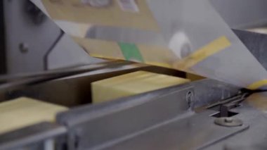 Peynir üretim fabrikası Peynir Paketleme Süreci. Yiyecek fabrikasındaki peynir işleme merkezini kapatın..