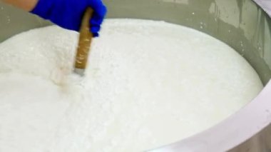 Peynirin büyük endüstriyel paslanmaz çelik tankın içinde karıştırılması gıda endüstrisi HD