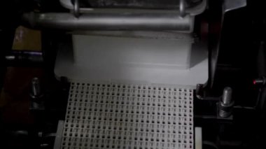 Endüstriyel ölçekli süt fabrikasında üretilen peynir.