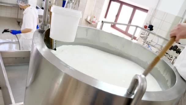 Сырная Фабрика Процесс Брожения Молока Сепарации Сыворотки Резервуаре Производство Моцареллы — стоковое видео