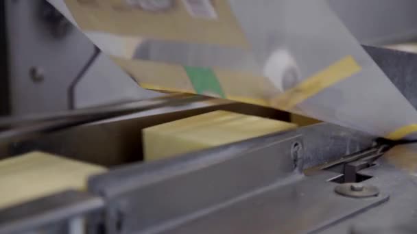 Käseproduktion Fabrik Käseverpackung Prozess Nahaufnahme Der Käseverarbeitung Der Lebensmittelfabrik — Stockvideo