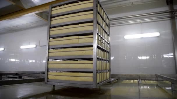 Ost Arrangerad Askar Cheese Factory Warehouse Fabrik För Mjölkprodukter — Stockvideo