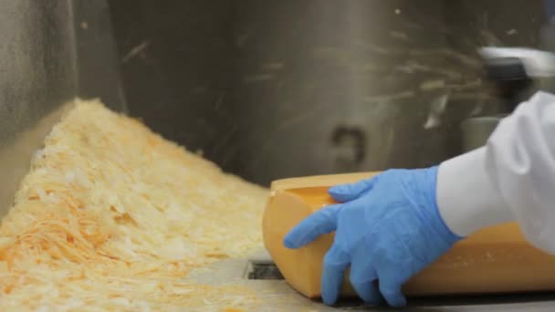 チーズ製造工場チーズ包装プロセス 食品工場でのチーズ加工の終了 — ストック動画