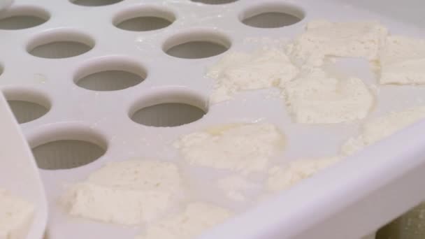 工業規模の牛乳工場で生産されているチーズ — ストック動画