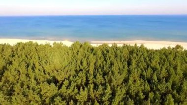 Yeşil orman ve mavi deniz plajı. İlkbaharda kırsal manzara nehri ve göl manzarası.