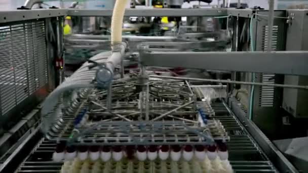 蛋厂运输真空升降机制家禽饲养业技术 — 图库视频影像