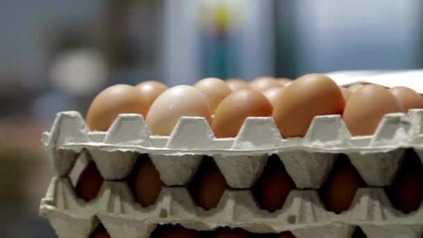 Kümes Hayvanları Çiftliğindeki Patlıcan Fabrikası Yumurtaları Paketlemeye Hazır Modern Endüstri — Stok video