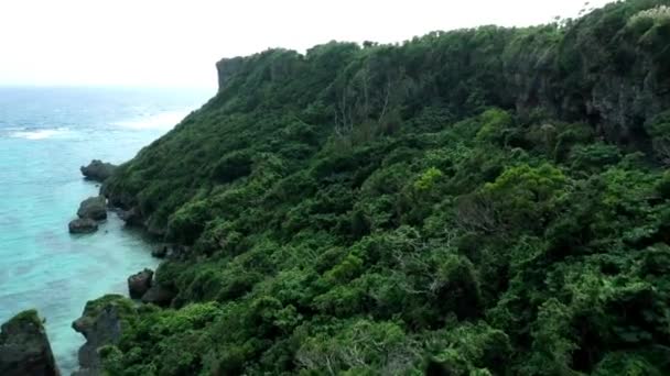 绿林鸟瞰鸟瞰森林小山和海洋自然景观的4K无人机图像 — 图库视频影像