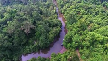 hava manzarası doğa nehir ve orman ağacı küçük kıvrımlı nehir gölü yeşil bataklık Mangrove manzarası