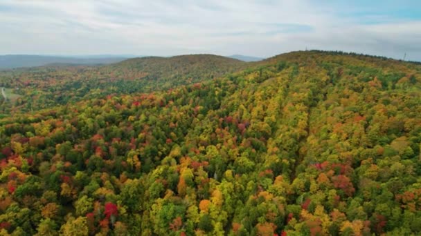Patrząc Dół Wietrzny Las Jesiennych Kolorów Splendor Antenowy Wiadukt Drzewa — Wideo stockowe
