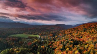 Sonbahar orman ağacı üzerindeki hava aracı görüntüsü. Doğa ve çevre 4K ormanındaki renkli devrilmiş ağaçlar
