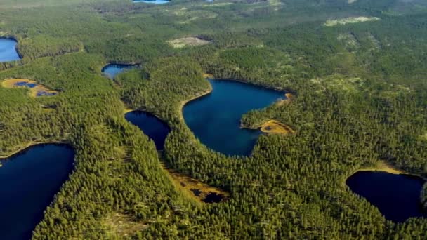 雄伟的森林与湖泊的空中形象自然冒险主题新鲜的绿树 — 图库视频影像