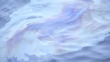 Deniz yüzeyindeki petrol sızıntısı, çevre felaketi ve deniz kirliliği kavramı HD 4K