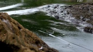 Plaj kirliliği ile petrol kirliliği çevresel felaket kıyı topluluğu su kirliliği HD