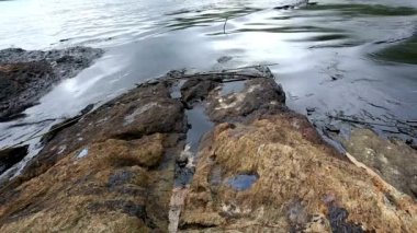 Saf petrol suyu kirliliği deniz aşırı denizlere zehirli kimyasallar salıyor ve deniz ekosistemine zarar veriyor.