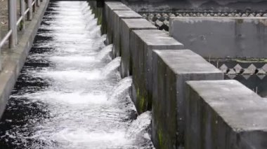 Atık su tankında işlendikten sonra temiz su akışı nehir geri dönüşüm sürecinde