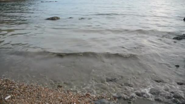 浮油对海洋生物沿海生态系统影响造成的海滩水污染清理概念 — 图库视频影像